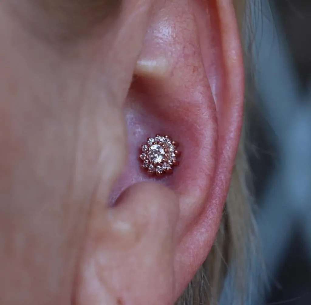 Dans l'image, on voit un magnifique bijou en forme de fleur ornée de diamants délicatement placé sur l'oreille d'une personne. Ce bijou élégant, qui reflète parfaitement l'élégance et le raffinement, est présenté par le fournisseur 'Paradise Montreal', spécialisé dans la catégorie Beauté pour le mariage. Ce détail pourrait parfaitement compléter le look d'une mariée, ajoutant une touche de glamour et de sophistication à sa tenue pour le grand jour.