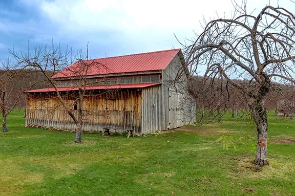 The image showcases Plaza Rive Nord, a charming wedding venue set amidst the natural beauty typical of Canadian countryside settings. The scene features a rustic barn with a corrugated metal roof, displaying a mix of weathered wood and metal textures, adding to its vintage appeal. Surrounding the barn, there are several bare trees, suggesting a picturesque outdoor setting perfect for wedding photography. The lush green grass extends across the landscape, offering ample space for outdoor wedding ceremonies or receptions. This venue is ideal for couples seeking a rustic and tranquil atmosphere for their special day.