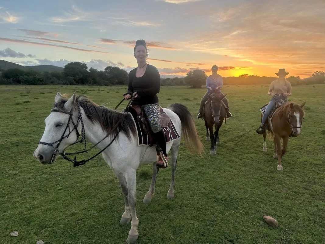 Three individuals are horseback riding across a lush green field at sunset, with the sky displaying a blend of orange and pink hues. The person in the foreground is on a white horse, leading the group, while the others follow closely behind on dark-colored horses. The scene conveys a sense of adventure and tranquility, suitable for Glen Boyd Reserve's destination wedding experiences, highlighting the natural beauty and unique offerings for wedding events. A backdrop of rolling hills is visible, adding to the picturesque setting ideal for weddings with a touch of rustic elegance, provided by Mariage Elegant, Canada.