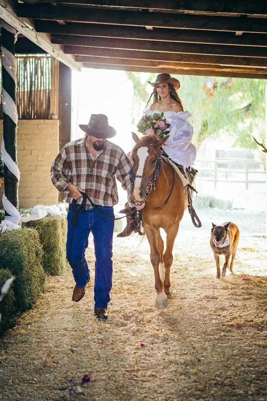 A bride dressed in a white wedding gown and a cowboy hat is joyfully riding a brown horse adorned with a floral arrangement at Glen Boyd Reserve, a destination wedding venue under the Mariage Elegant, Canada vendor listing. She is accompanied by a man in a plaid shirt, blue jeans, and a cowboy hat, leading the horse through a rustic barn setting with hay bales and white drapery. A dog walks alongside them, adding a charming, rustic touch to the rural wedding scene. Sunlight filters through the barn, creating a warm and inviting atmosphere perfect for a countryside wedding celebration.