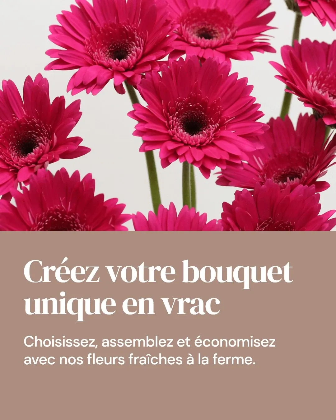 The image showcases a vibrant arrangement of deep pink gerbera daisies, skillfully displayed by Fleurs en Vrac MTL, a renowned wedding florist in Canada. The close-up view highlights the intricate details of the petals and the lush green stems, capturing the essence of fresh, farm-picked flowers ideal for creating unique wedding bouquets. In the foreground, the text in French promotes the ability to create personalized flower arrangements, emphasizing the freshness and customization offered by this vendor.