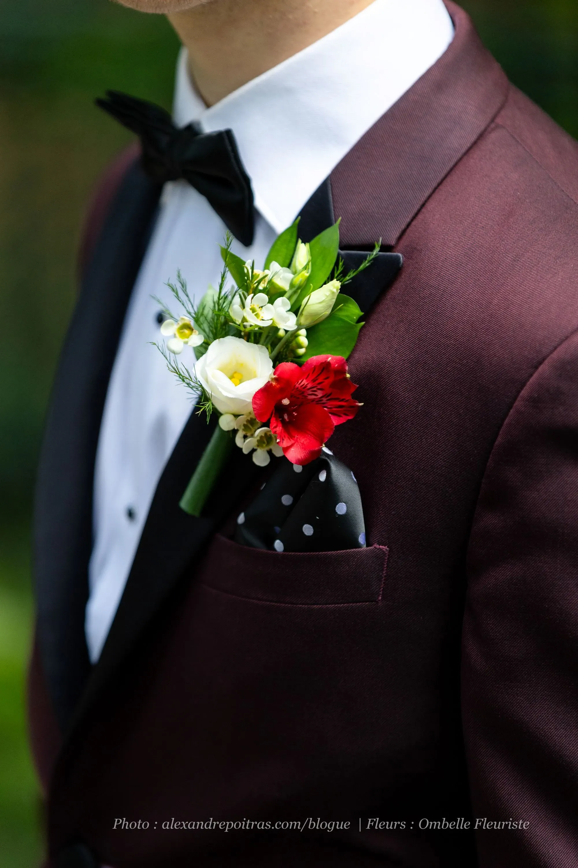 A groom dressed in a burgundy suit featuring a black lapel and a black bow tie is highlighted in this image. The suit is accessorized with a pocket square in black and white polka dots. A vibrant boutonniere crafted by Ombelle Fleuriste, a featured vendor in the Wedding Florists category on Mariage Elegant, adorns the lapel. The boutonniere comprises white and red flowers complemented by lush greenery, adding an elegant touch to the groom's attire for a wedding celebration.