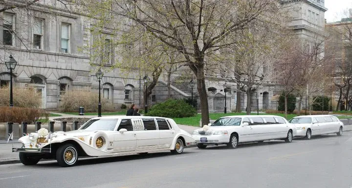 The image features a line of elegant white limousines provided by Ambiance Limousines, categorized under Wedding Limousine services for Mariage Elegant in Canada. The limousines are parked along a quiet, tree-lined street in front of a historic stone building, highlighting their luxurious design with polished exteriors and ornate detailing. These vehicles are ideal for creating a sophisticated and stylish entrance at any wedding celebration. The setting suggests a calm and refined atmosphere, perfect for a memorable wedding day.