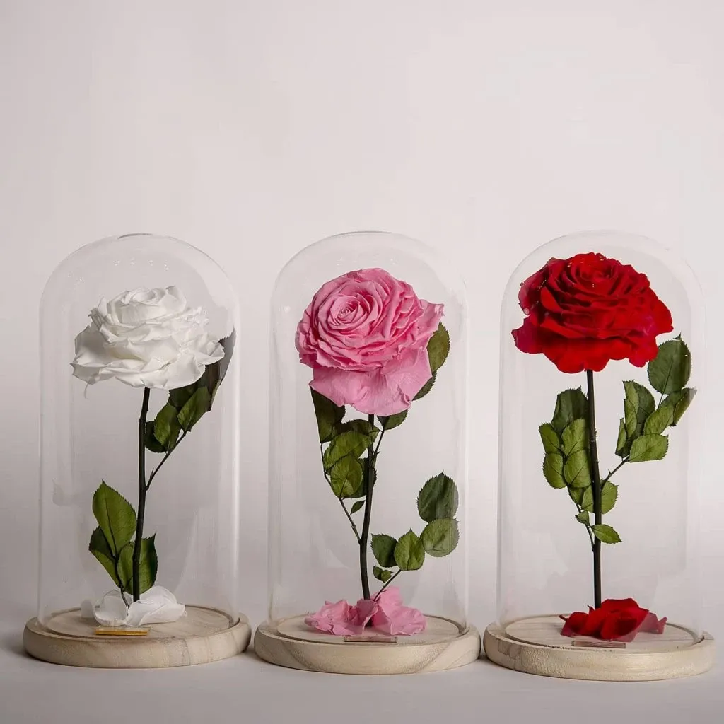 The image showcases a wedding floral display by Lelili Fleurs, listed under the Wedding Florists category on Mariage Elegant, Canada. Featured are three elegant glass domes, each encasing a single, beautifully preserved rose. From left to right, the roses are white, pink, and red, symbolizing purity, romance, and passion, respectively. Each rose is set on a light wooden base, highlighting the delicate nature of the flowers, perfect for sophisticated wedding decor or as a timeless centerpiece.