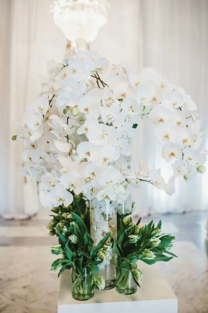 The image showcases a stunning floral arrangement by Alain Simon Fleurs, a vendor in the Wedding Florists category. It features an elegant display of white orchids cascading from a tall, clear glass vase, accompanied by lush green tulips at its base. The arrangement is set against a backdrop of soft, draped fabric and a crystal chandelier, creating a sophisticated and romantic atmosphere ideal for a wedding event.