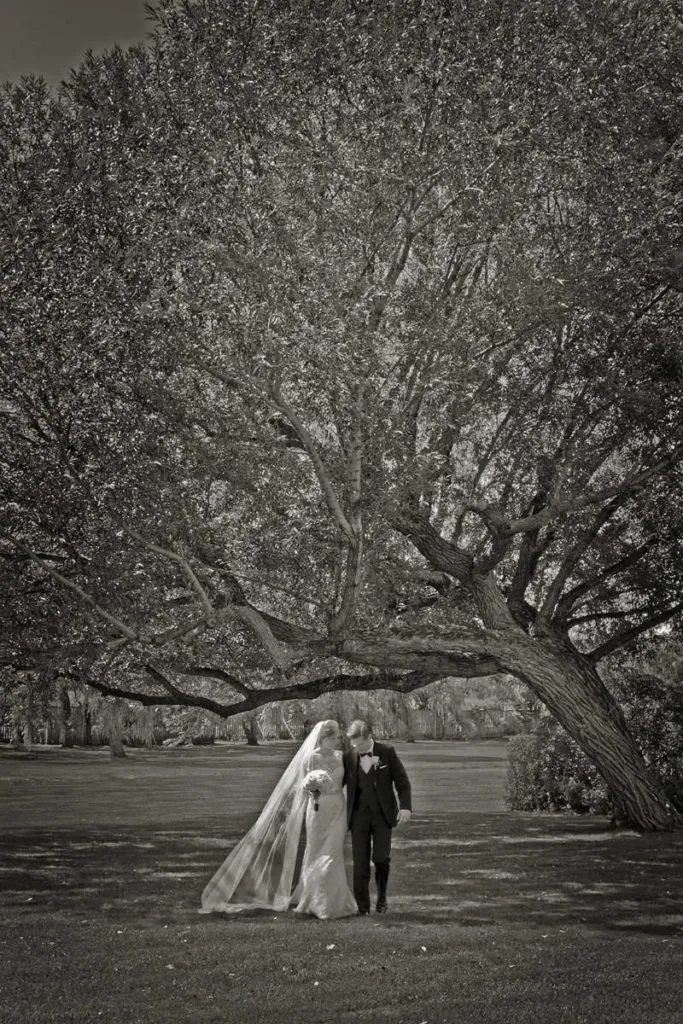 A newlywed couple, captured by Studio Omega Photo, is seen walking hand in hand under a sprawling, majestic tree in a serene outdoor setting, epitomizing wedding photography. The bride is wearing a flowing gown with a long veil, while the groom is in a formal suit. The natural backdrop highlights the couple, creating a romantic and timeless moment, perfect for a wedding album. This image showcases Studio Omega Photo's expertise in capturing elegant and intimate wedding moments, fitting elegantly into the wedding photography category on Mariage Elegant, Canada.