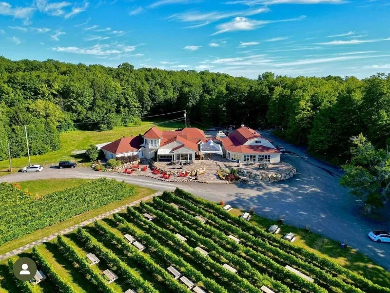 The image showcases La Bullerie, a wedding venue in Canada, set amidst lush greenery. The aerial view captures the venue with its distinctive red roofs and elegant architecture surrounded by dense forest, creating a picturesque setting. Neatly aligned rows of vineyards can be seen in the foreground, adding to the charm and appeal for wedding ceremonies. The expansive outdoor space offers ample room for events, making it an ideal location for couples seeking a serene and scenic environment for their special day.