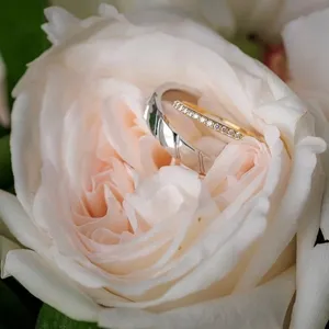 Alliance de mariage en argent sertie de petits diamants, placée au centre d'une délicate rose blanche aux nuances roses. La composition florale et la bague illustrent l'attention aux détails de PhotoMarc, expert en photographie de mariage pour Mariage Elegant au Canada.