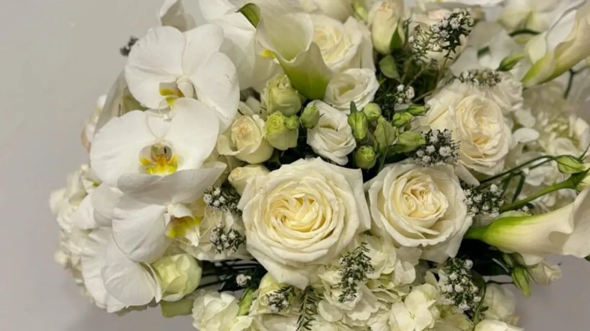 470895107 18474329269010915 405279218591146327 n 819x1024