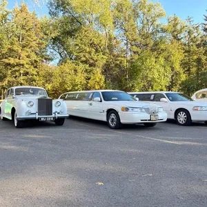 allante limousine 23