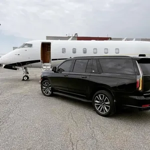 allante limo