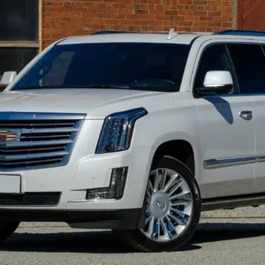 allante limousines18