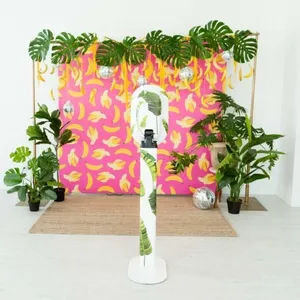 SalsaPromoHighRes452 683x1024