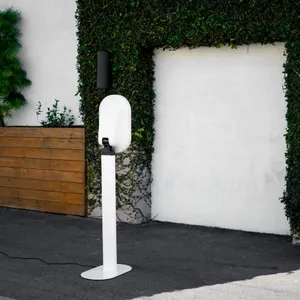 SalsaPromoHighRes438