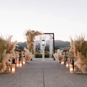 SalsaPromoHighRes422