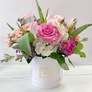 MBloom aurorainspiration