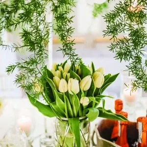 AlainSimon eva photo.com11 1 682x1024