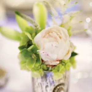 BessieCoco AlainWindsor 404 683x1024