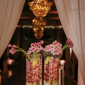 16 204 RachelJJ 200910 684x1024