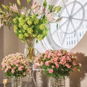 Bessie Coco ASFhighres037 683x1024