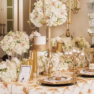 Untitled 4rgb w810 h2000 1