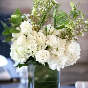 BessieCoco EWBravo 215 w800 h2000 2