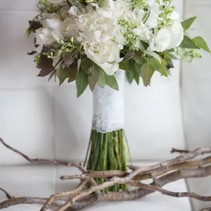 BessieCoco EWBravo 381 w800 h2000 2