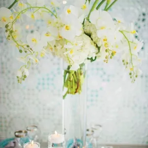 elegant wedding all white beach wedding theme9 2