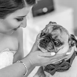 guy chan chive wedding photography12