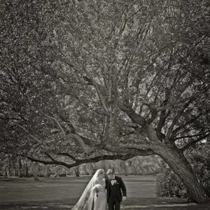 elegant wedding diamond directory omega photographie videographie5 683x1024