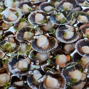 plaza duparc5 683x1024