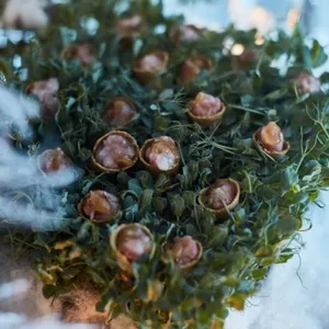 plaza duparc6 683x1024