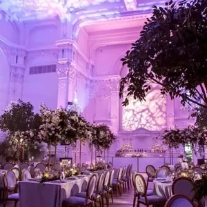 img 6981 50 58332 158048426819680