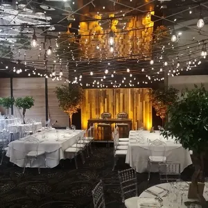 plaza antique wedding