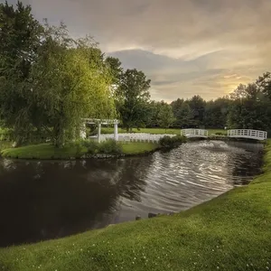 120615 4439 Distinction